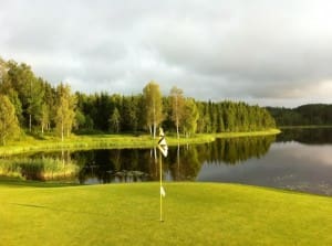 12 green spegel