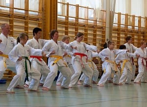 100529-Karateuppvisning-029